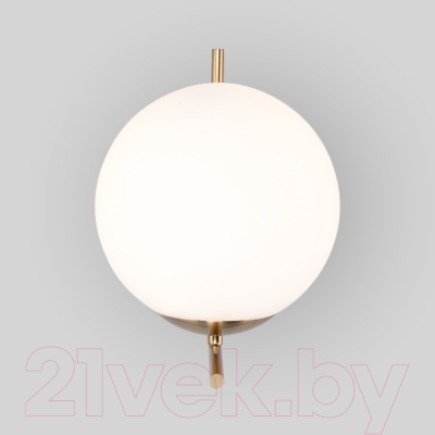 Спот Евросвет 70153/1