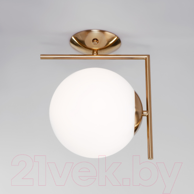 Спот Евросвет 70153/1