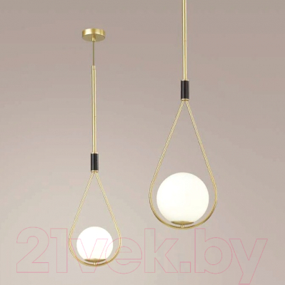 Потолочный светильник Odeon Light Flari 4810/1A