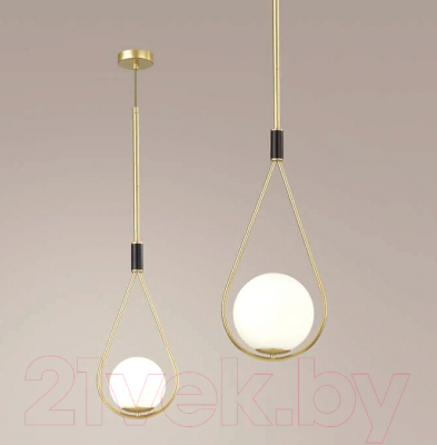 Потолочный светильник Odeon Light Flari 4810/1