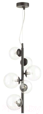 Люстра Odeon Light Tovi 4818/6 - фото