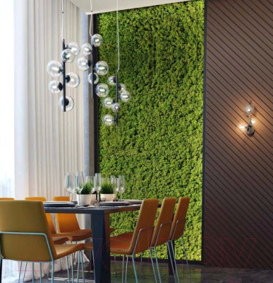 Люстра Odeon Light Tovi 4818/6