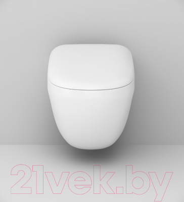 Унитаз подвесной AM.PM Sensation C301700WH + C307851WH