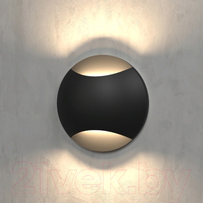 Светильник уличный Elektrostandard MRL LED 1105 - фото