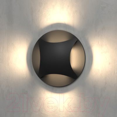 Светильник уличный Elektrostandard MRL LED 1106 - фото