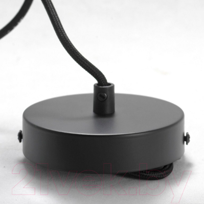 Потолочный светильник Lussole Loft Truman GRLSP-8145