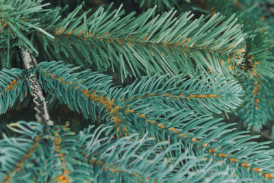 Ель искусственная Бифорес Дриада микс голубая / ДРМГ 220