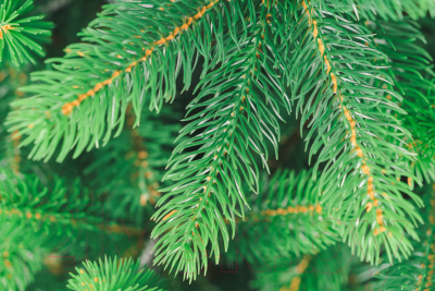 Ель искусственная Бифорес Премиум микс светлая / ПРМС 165