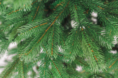 Ель искусственная Бифорес Соната микс темная / СНМТ 220