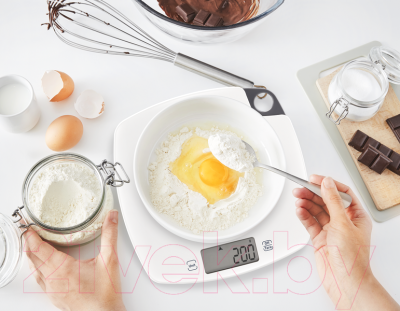 Кухонные весы Tefal BC1000V1