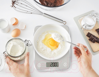 Кухонные весы Tefal BC5004V2