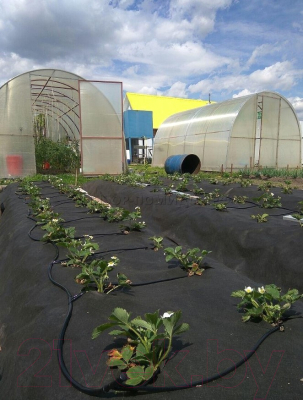 Система капельного полива Синьор Помидор 10009004