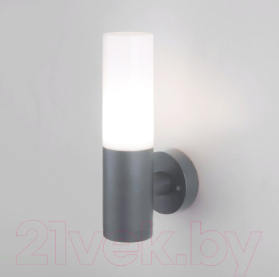 Бра уличное Elektrostandard 1418 Techno - фото