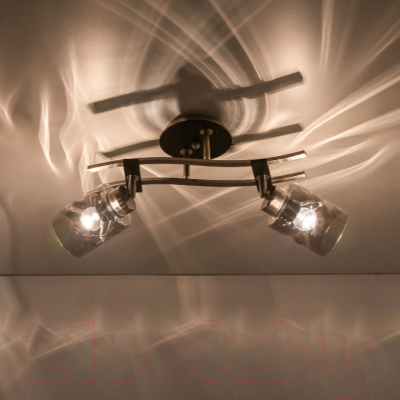 Потолочный светильник Citilux Мерида CL142125