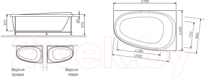 Ванна акриловая AM.PM Like L W80A-170L110W-A