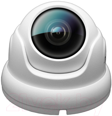 IP-камера Ginzzu HID-2302A