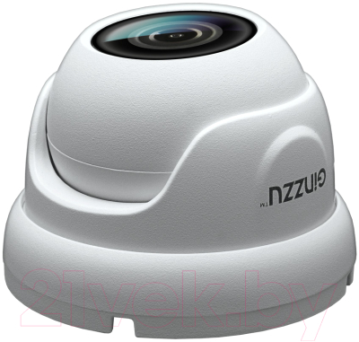 IP-камера Ginzzu HID-2302A