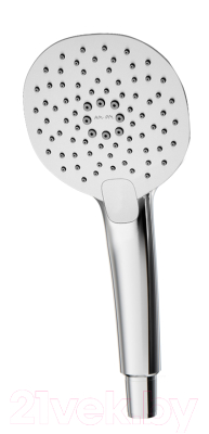 Лейка ручного душа AM.PM Spirit F0270A000 - фото