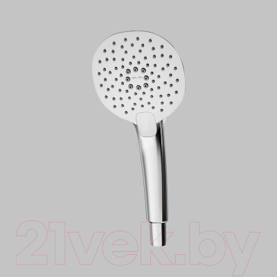 Лейка ручного душа AM.PM Spirit F0270A000