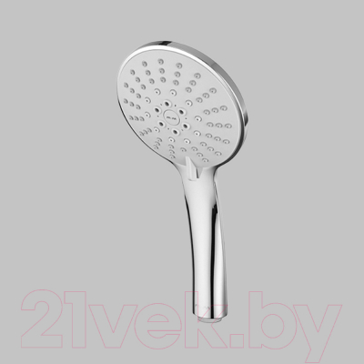 Лейка ручного душа AM.PM Spirit F0270064