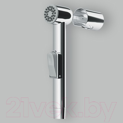 Лейка гигиенического душа AM.PM F0201964