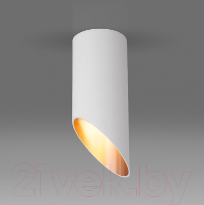 Точечный светильник Elektrostandard DLN114 GU10 - фото