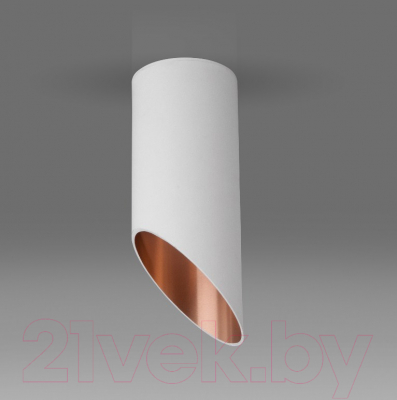 Точечный светильник Elektrostandard DLN114 GU10