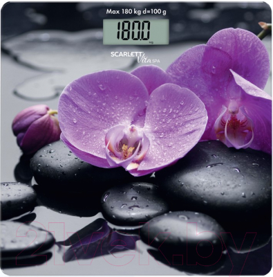 Напольные весы электронные Scarlett SC-BS33E067 - фото