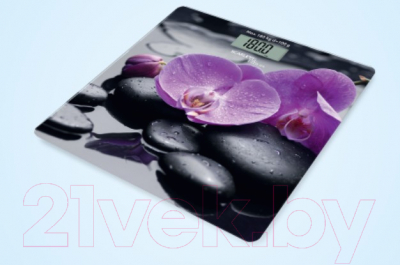 Напольные весы электронные Scarlett SC-BS33E067