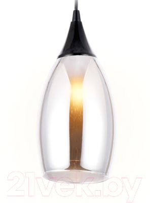 Потолочный светильник Ambrella TR3544 BK/SM