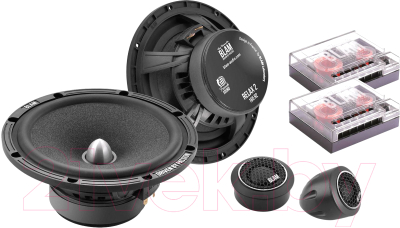 Компонентная АС BLAM 165R2X - фото