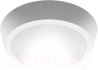 Светильник ЖКХ JAZZway 5017238 - фото