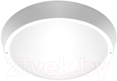 Светильник ЖКХ JAZZway 5020788 - фото