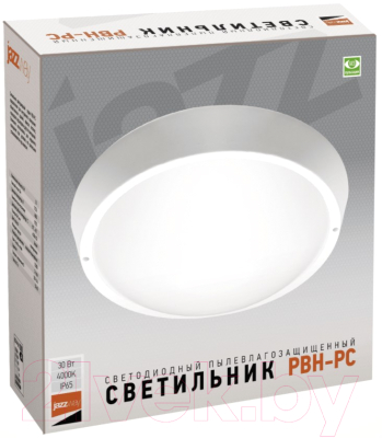 Светильник ЖКХ JAZZway 5020801