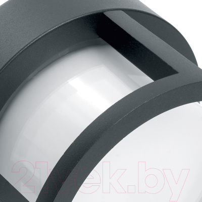 Бра уличное Feron DH107 / 06349