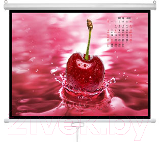 Проекционный экран Future Vision Business 300 / W300WMW - фото