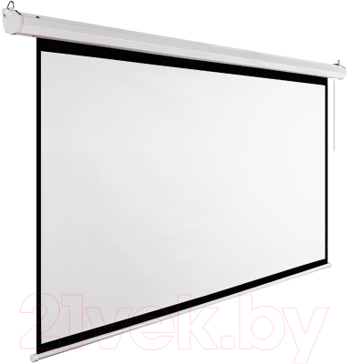 Проекционный экран Future Vision Video Electric 200 E200VMW (200x150) - фото