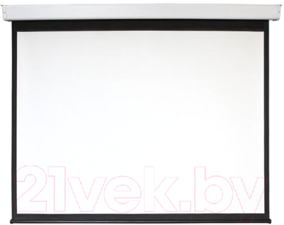 Проекционный экран Future Vision Business Electric 300 / E300WMW (300x218) - фото