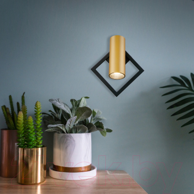 Спот Евросвет Turro 20091/1 LED