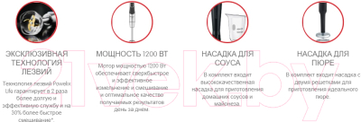 Блендер погружной Moulinex DD95KD10