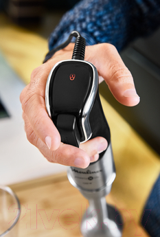 Блендер погружной Moulinex DD95KD10