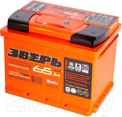 Автомобильный аккумулятор Зверь 6СТ-65 Евро R+ - фото