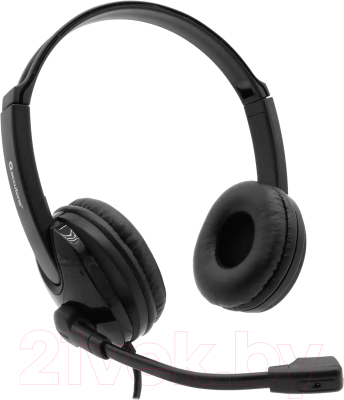 Наушники-гарнитура Accutone UB101 USB - фото