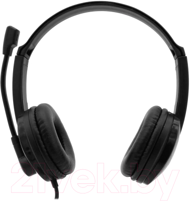 Наушники-гарнитура Accutone UB101 USB