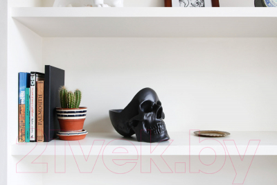 Органайзер для хранения Suck UK Skull / SK TIDYSKULL2