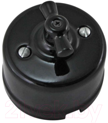 Выключатель TDM Болонь SQ1820-0002 - фото