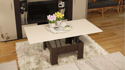 Стол-трансформер ТриЯ Тип 10