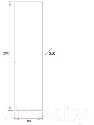 Шкаф-полупенал для ванной Onika Девис 30.10У (403071)