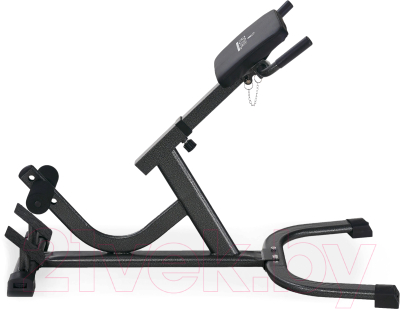Гиперэкстензия Royal Fitness HB-RMY001