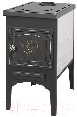 Печь отопительно-варочная Везувий В5 - фото